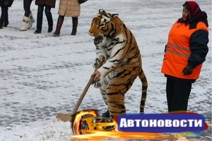 Проезд по трассам государственной значимости открыт - «Автоновости»