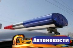 Автоинспекторы Новосибирска и области вновь выйдут в рейд против нетрезвых водителей - «Автоновости»