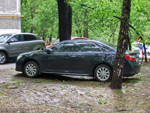 Летом в Москве начнут наказывать за парковку на газонах - штраф составит до 300 тысяч рублей - «Автоновости»