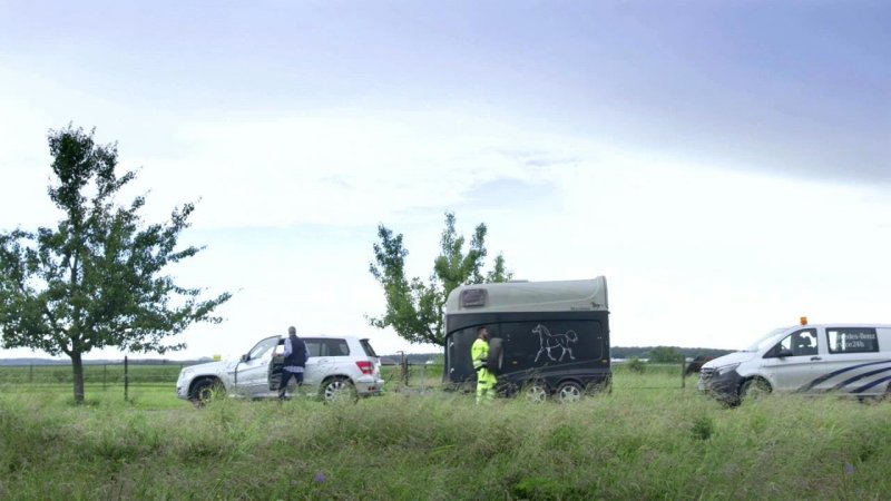 An unintended break? Mobilo. Stay on the move - Mercedes-Benz original  - «видео»
