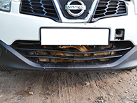 В Уфе собака после ДТП застряла в решетке радиатора Nissan - «Автоновости»