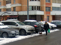 Платные парковки в Подмосковье появятся уже в 2017 году, хотя ранее ходили слухи, что проект отложат - «Автоновости»