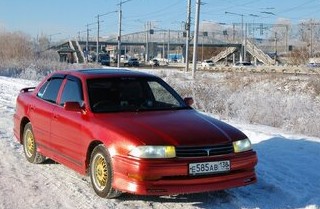 Toyota Camry V30. «Бегемот» в Сибири — счастливая старость - «Автоновости»